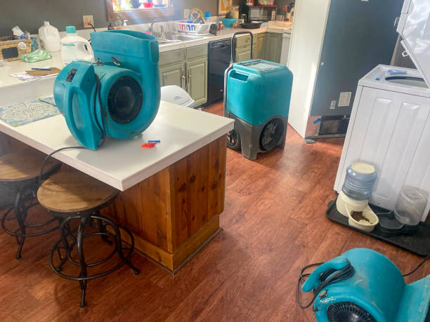 Best Water damage restoration mold remediation  in Briggs, OK