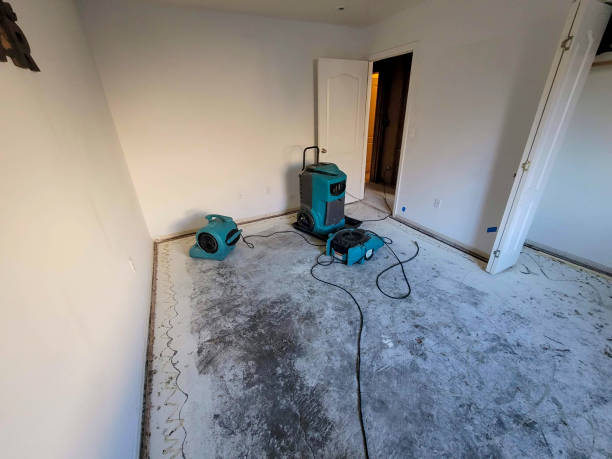 Best Professional water damage repair  in Briggs, OK